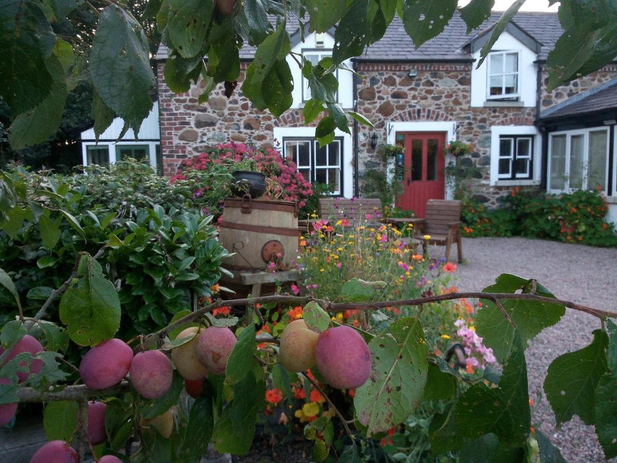 Berwick Hall Cottage Moira  Exteriér fotografie