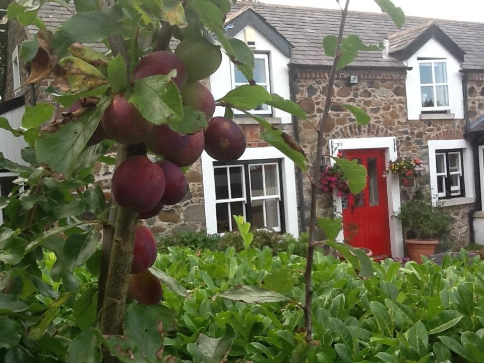 Berwick Hall Cottage Moira  Pokoj fotografie